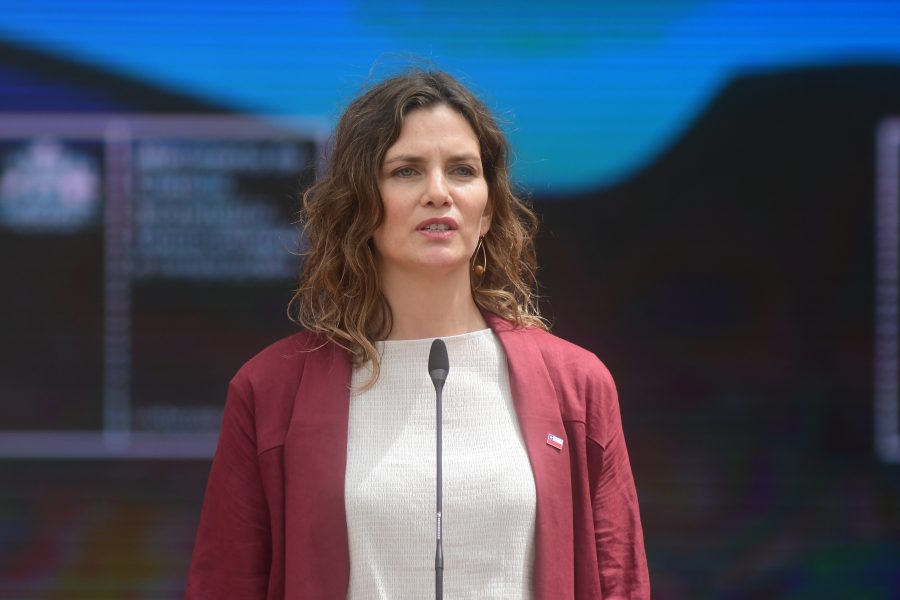 Carolina Torrealba, subsecretaria de Ciencia y Tecnología