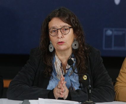Ministra (s) de Educación, Alejandra Arratia