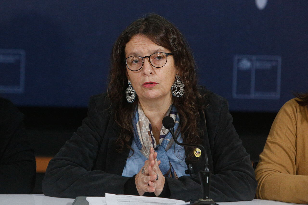 Ministra (s) de Educación, Alejandra Arratia