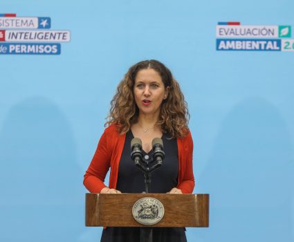 Rosario Navarro, presidenta de Sofofa