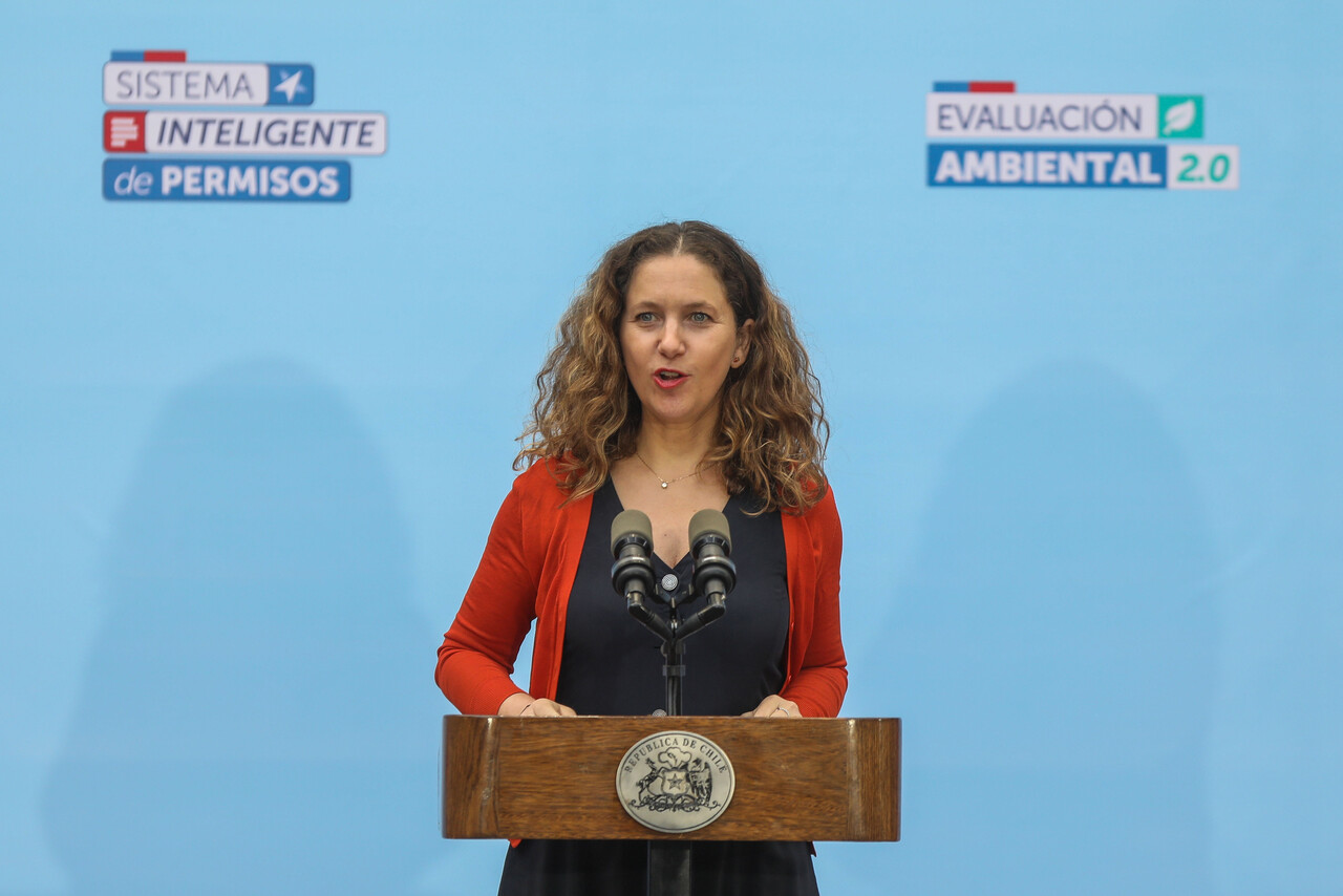 Rosario Navarro, presidenta de Sofofa