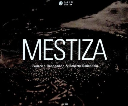 Metiza